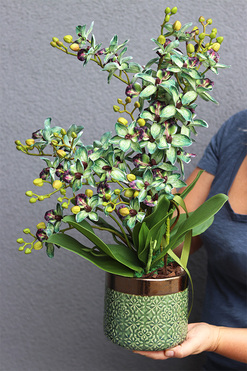 Selania Green, zielony sztuczny storczyk, wys.54cm 