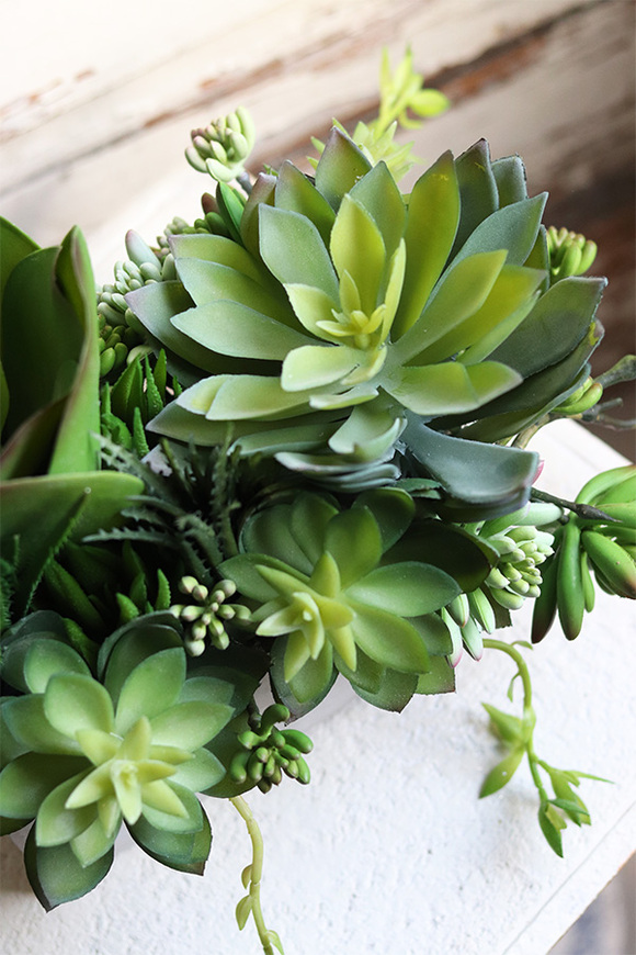 Anrato Greena, kompozycja z sukulentami w betonowej donicy, wys.28cm