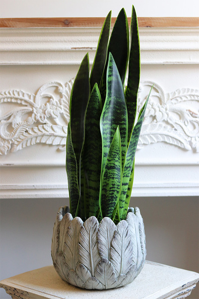Sansewieria Gerra, roślina sztuczna w ceramicznej donicy