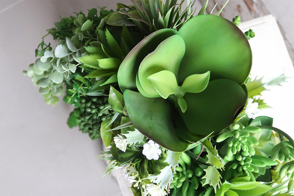 Laos Greeno, bogata kompozycja Sukulenty w lustrzanej donicy, wym.28x46cm 