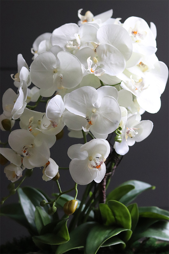 Hilton Gold Long, wysokiej jakości sztuczny storczyk