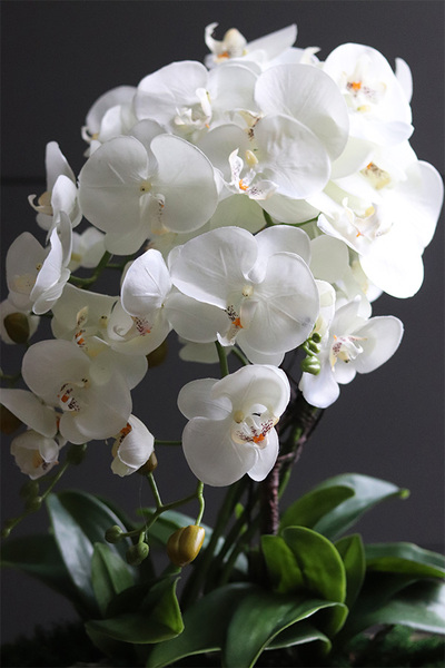 Hilton Gold Long, wysokiej jakości sztuczny storczyk