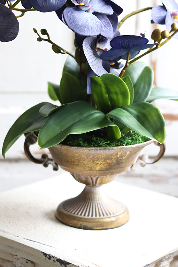 Blue Goldie, niebieski storczyk w złotym pucharze, wys.61cm 