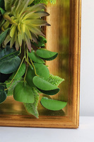Sukulenty Green Decore, jednostronna rama