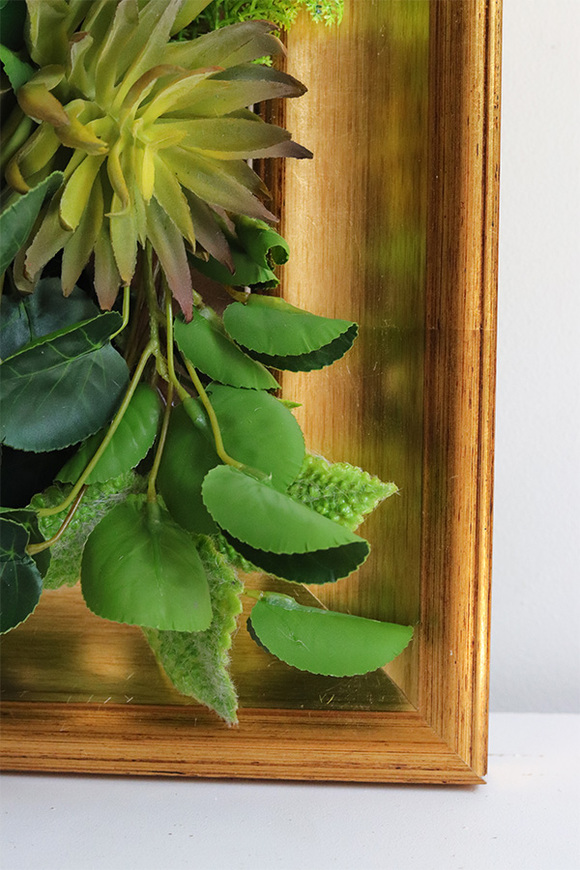 Sukulenty Green Decore, jednostronna rama