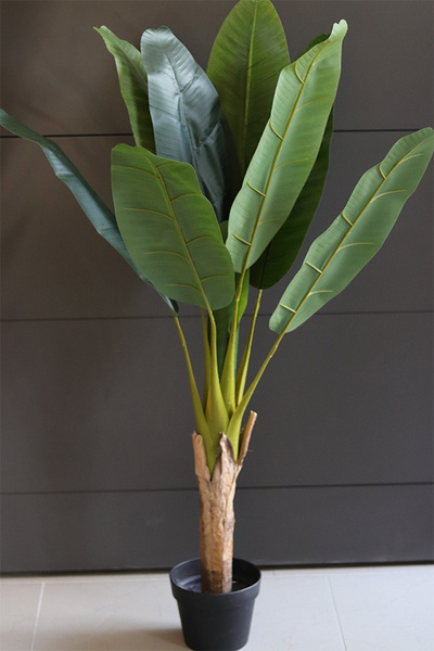 Bananowiec, sztuczne drzewko w osłonce