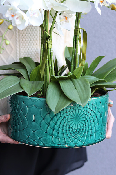 Dark Green Orient, wysokiej jakości sztuczny storczyk