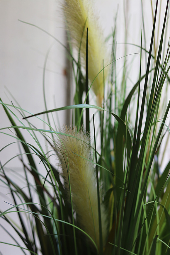 Jedylia Casa Creme, trawa z klosami w donicy od Belldeco, wys.93cm