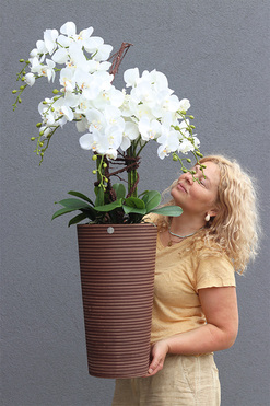 Genova Brown, sztuczny storczyk w wysokiej donicy, wys.110cm