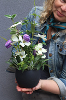 Hilltonia Spring Decor, kompozycja kwiatowa w naczyniu	