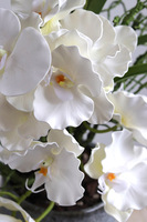 Orientana, gumowy sztuczny storczyk w ozdobnej donicy