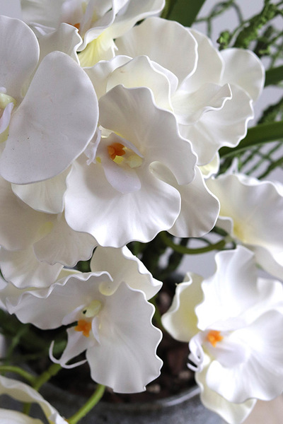 Orientana, gumowy sztuczny storczyk w ozdobnej donicy