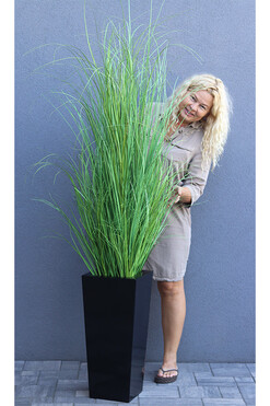 Black Hampton Fiberglass, trawa w czarnej donicy, wys. 180cm