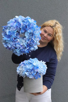Blue Hydrangeas, wianek na drzwi z niebieskich hortensji
