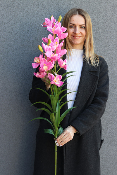 Cymbydium Róż, gałązka kwiatowa storczyk orchidea