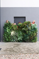 Green Wall, dekoracja jednostronna ze sztucznych roślin