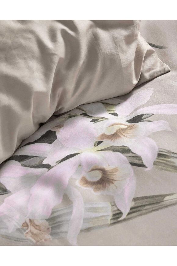 Essenza Noe, pościel bawełna satynowa, beżowa