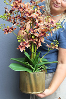 Thai Selania Gold, sztuczny storczyk	