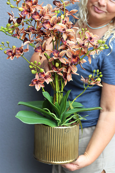 Thai Selania Gold, sztuczny storczyk	