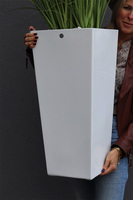 Delano, kompozycja w białej donicy z trawami