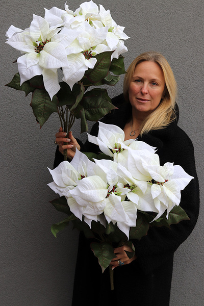 święta_Gwiazda_Betlejemska_Biała