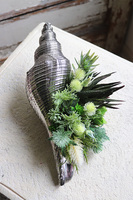 elegancka muszla z sukulentami, Morska Fala 2, wym.28x14x14cm