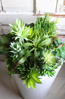 sukulenty w białej donicy, White Grande Fiberglass Suculenti, wys.80cm