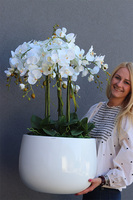 sztuczny storczyk w białej donicy, White Fiberglass Grande Roundi, wys.100cm 