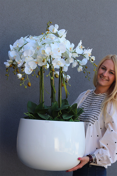 sztuczny storczyk w białej donicy, White Fiberglass Grande Roundi, wys.100cm 