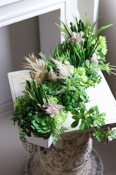 Beige Longia, kompozycja sukulenty w długiej donicy