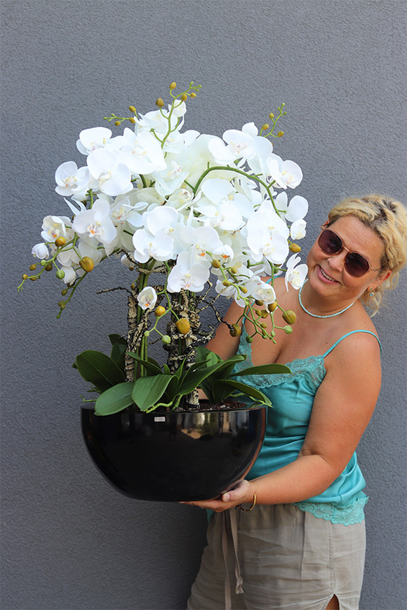 Fiberglass Black Bowl, sztuczny storczyk w czarnej donicy