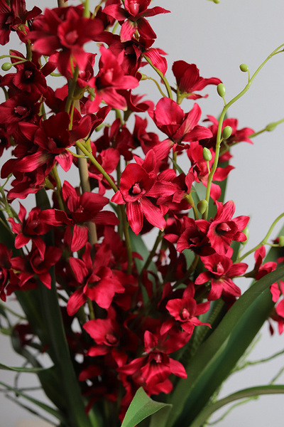 Red Thai, sztuczny storczyk w donicy