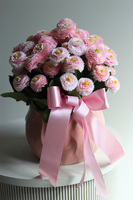 Stokrotki Pink, wiosenna kompozycja kwiatowa w doniczce