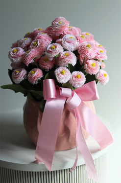 Stokrotki Pink, wiosenna kompozycja kwiatowa w doniczce, wym.32x26cm