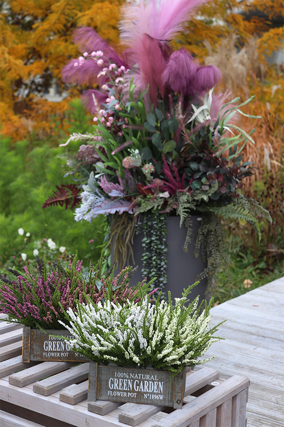 Wrzosowisko Green Garden, wrzosy w skrzynce, białe