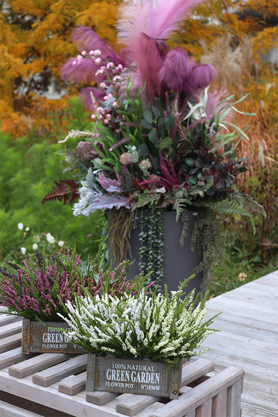 Wrzosowisko Green Garden, wrzosy w skrzynce, białe