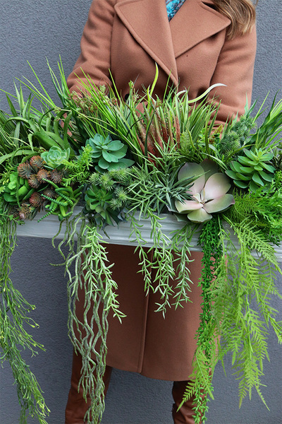 Green Hrefa, kompozycja sukulenty do twojej donicy