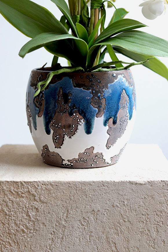 Blerana 2, stylowy storczyk w doniczce