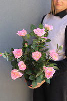 Róża Pinky, sztuczna roślina w doniczce