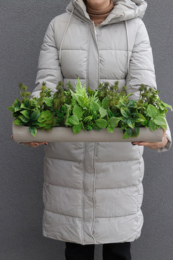 OD RĘKI Hektor Modenato 2, kompozycja sukulenty w długiej donicy, dł.60cm 