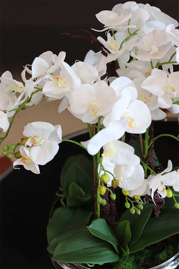 Hotels Deluxe, gumowy storczyk w srebrnej misie