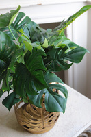 Monstera Gold, drzewko sztuczne w donicy