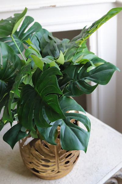 Monstera Gold, drzewko sztuczne w donicy