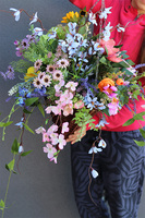 Sielska Dolina, kompozycja w wiszącym koszu