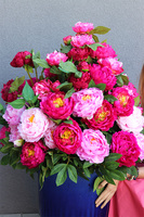 Peonies Extra, podłogowa dekoracja kwiatowa