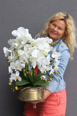 Bermudia Gold, storczyk w złotym naczyniu, wys.61cm