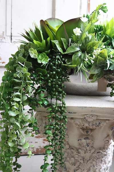 Laos Greeno, bogata kompozycja Sukulenty w lustrzanej donicy, wym.28x46cm