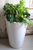 sukulenty w białej donicy, White Grande Fiberglass Suculenti, wys.80cm