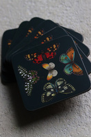 Botanic Garden Harmony