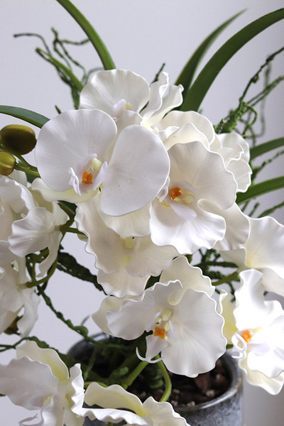 Orientana, gumowy sztuczny storczyk w ozdobnej donicy